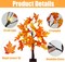2 Pack 24 Inch Artificial Fall Lighted Maple Tree - 24 LED Light